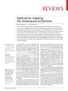 METHODS FOR MAPPING 3D CHROMOSOME 