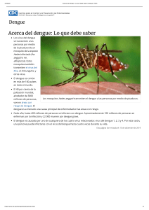 Acerca del dengue  Lo que debe saber   Dengue   CDC-1