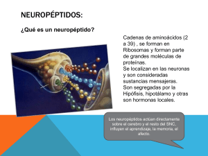 Neuropeptidos