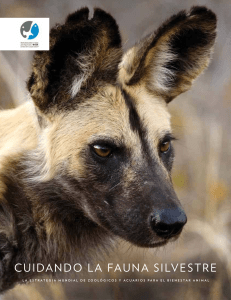 WAZA-Animal-Welfare-Strategy-2015 Spanish