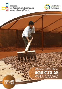 buenas practicas cacao 2012 ecuador