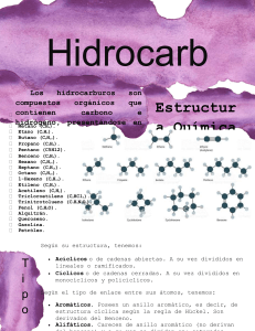 Noticia Hidrocarburo