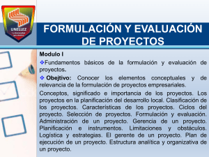 FORMULACION Y EVALUACION DE PROYECTOS CLASE 2