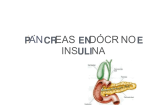 Pancreas e insulina