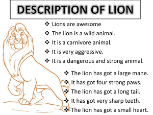 DESCRIPTION OF LION