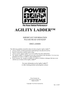 Agility Ladder 2007