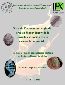 Tesis PhD Jorge Fraga 2012