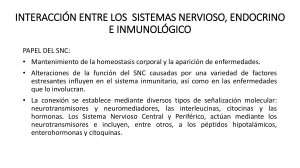 INTERACCIÓN ENTRE SISTEMAS NERVIOSO, endocrino e inmunologico