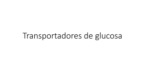 Transportadores de glucosa: GLUT Clase I