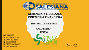 ENERGY PALMA 2