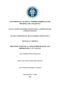 EXAMEN I UNIDAD - IDENTIFICACIÓN DE LA SOSTENIBILIDAD DEL C.P. CANAAN 