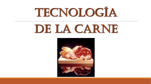 Tecnologia carnes