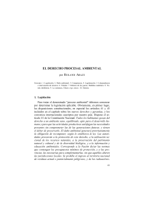 El derecho procesal Ambiental (Arazi, Roland)