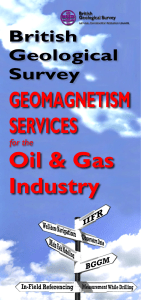 Geomag Services for Oil Gas 2012b