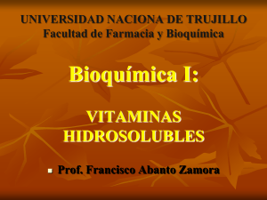 Vitaminas-Hidrosolubles: B1,B2,B3,B5,B6,B8,B9,B12; VIT. "C"