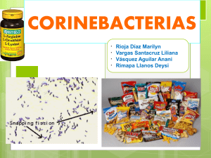 CorinebacteriasMRD