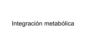 Integración metabólica