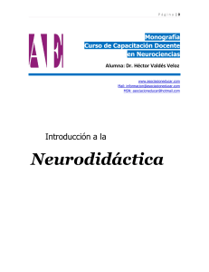 neurodidactica