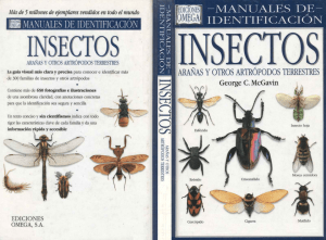 Manual de identificaciòn de Insectos, Arañas y otros Artròpodos Terrestres - George C. McGavin