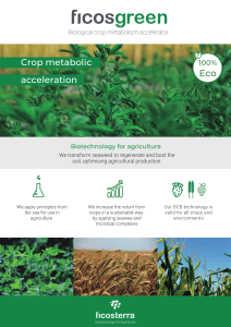 Ficosgreen EN biological crop metabolism Accelerator-comprimido