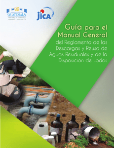 Guia para el manual general del reglamento del AG 236-2006