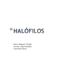 ppf-halofilos
