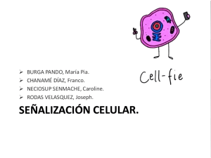 Señalización celular 