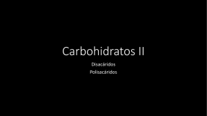05- Hidratos de carbono II