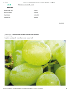 Impacto de la postcosecha en la calidad de frutas de exportación - Redagrícola