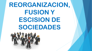 BLOCK 10 REORGANIZACION, FUSION Y ESCISION DE SOCIEDADES