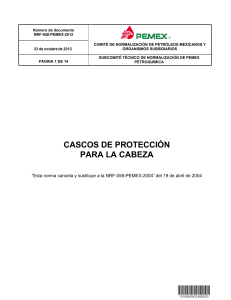 CASCOS DE PROTECCIÓN PARA LA CABEZA