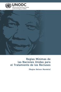 Nelson Mandela Rules-S-ebook