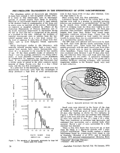 1974 ford PREY-PREDATOR TRANSMISSION IN THE EPIZOOTIOLOGY OF OVINE SARCOSPORIDIOSIS Ciclo, transmision