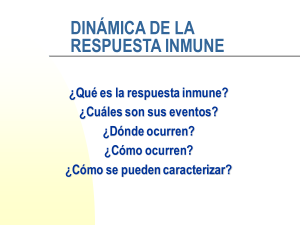7. Dinámica de la respuesta Inmune