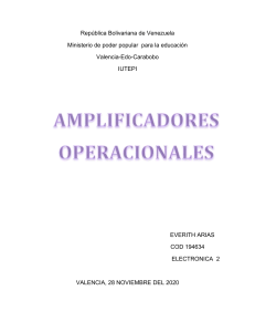 amplificadores operacionales EVERITH ARIAS COD 194634