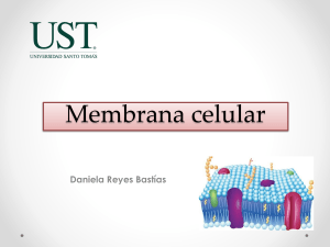 Clase 6. Membrana celular