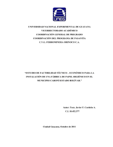 Estudio de factibilidad tecnico economico para la instalacion de una fabrica de papel higienico en el municipio caroni