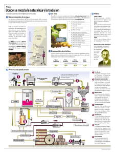 248225469-Infografia-Produccion-Pisco