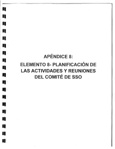 ELEMENTO 8- PLANIFICACIÓN DE LAS ACTIVIDADES Y REUNIONES DEL COMITE SE SSO.