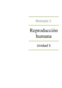 U5 - Reproduccion humana
