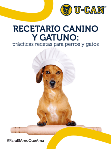 Recetario-canino-y-gatuno-practicas-recetas-para-perros-y-gatos