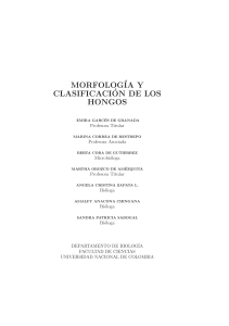 Morfologia y clasificacion de los hongos libro