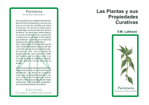 LAS-PLANTAS-Y-SUS-PROPIEDADES-CURATIVAS (1)