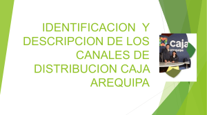 IDENTIFICACION  Y DESCRIPCION DE LOS CANALES DE DISTRIBUCION