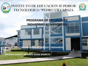 CARATULA INSTITUTO DE EDUCACION SUPERIOR TECNOLOGICO
