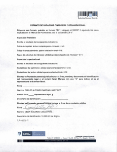 FORMATO DE CAPACIDAD FINANCIERA PDF