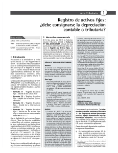 pdf-registro-de-activos-fijospdf compress (1)