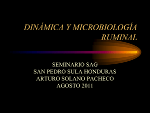 Dinamica-y-microbiologia-ruminal-Sula