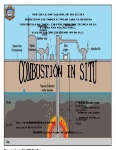 combustion in situ.pdf
