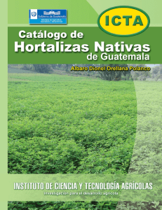 Catalogo de hortalizas nativas de Guatemala, 2012